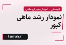 نمودار رشد ماهی کپور