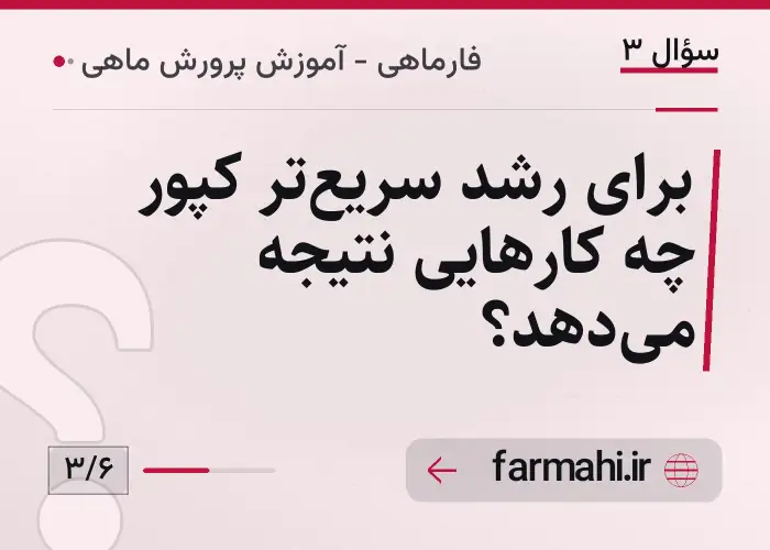 برای رشد سریع‌تر کپور چه کارهایی نتیجه می‌دهد؟
