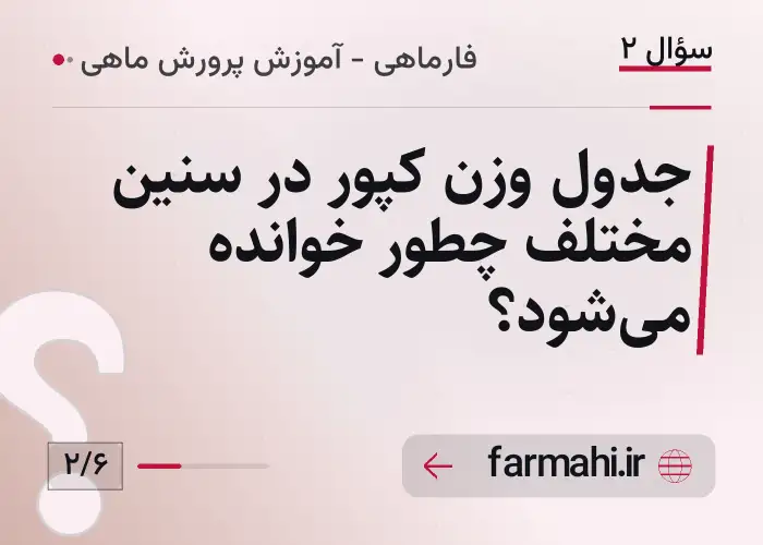 جدول وزن کپور در سنین مختلف چطور خوانده می‌شود؟