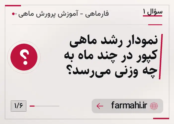 نمودار رشد ماهی کپور در چند ماه به چه وزنی می‌رسد؟