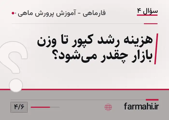 هزینه رشد کپور تا وزن بازار چقدر می‌شود؟