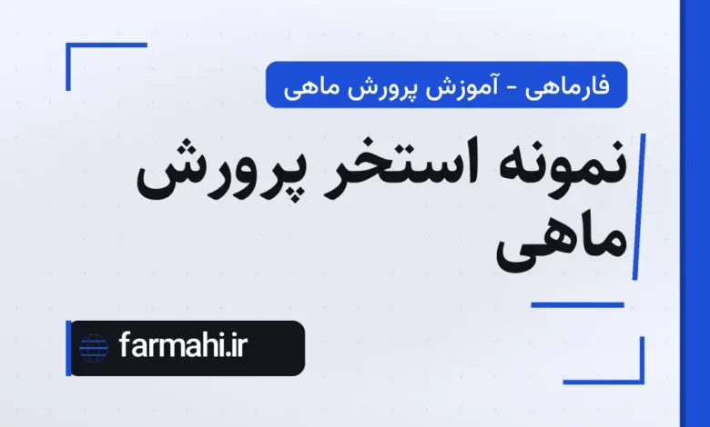 نمونه استخر پرورش ماهی