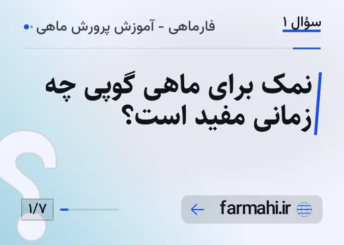 نمک برای ماهی گوپی چه زمانی مفید است؟