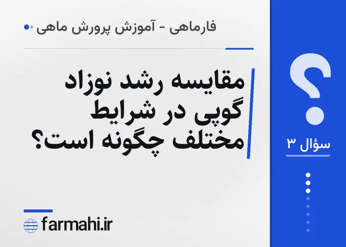 مقایسه رشد نوزاد گوپی در شرایط مختلف چگونه است؟