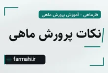 نکات پرورش ماهی