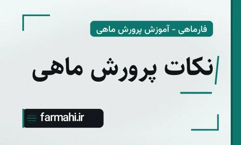 نکات پرورش ماهی