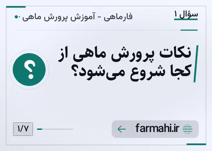 نکات پرورش ماهی از کجا شروع می‌شود؟