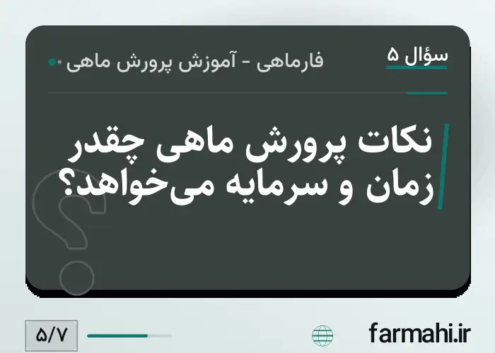نکات پرورش ماهی چقدر زمان و سرمایه می‌خواهد؟