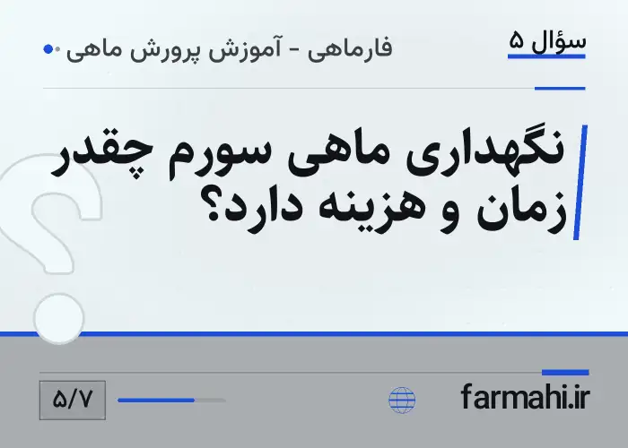 نگهداری ماهی سورم چقدر زمان و هزینه دارد؟