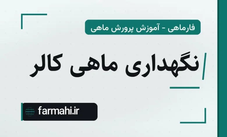 نگهداری ماهی کالر