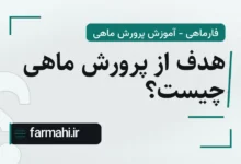 هدف از پرورش ماهی چیست؟
