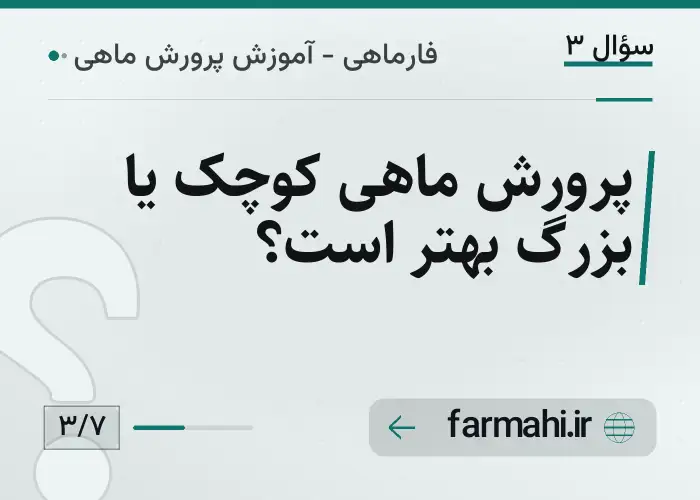 پرورش ماهی کوچک یا بزرگ بهتر است؟