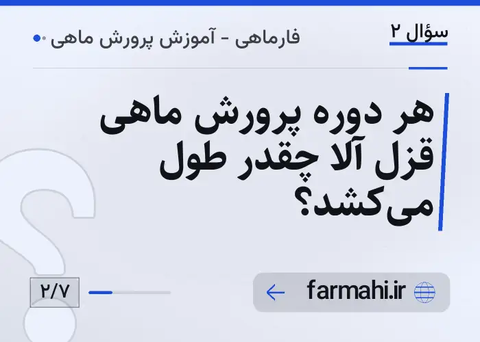 هر دوره پرورش ماهی قزل آلا چقدر طول می‌کشد؟