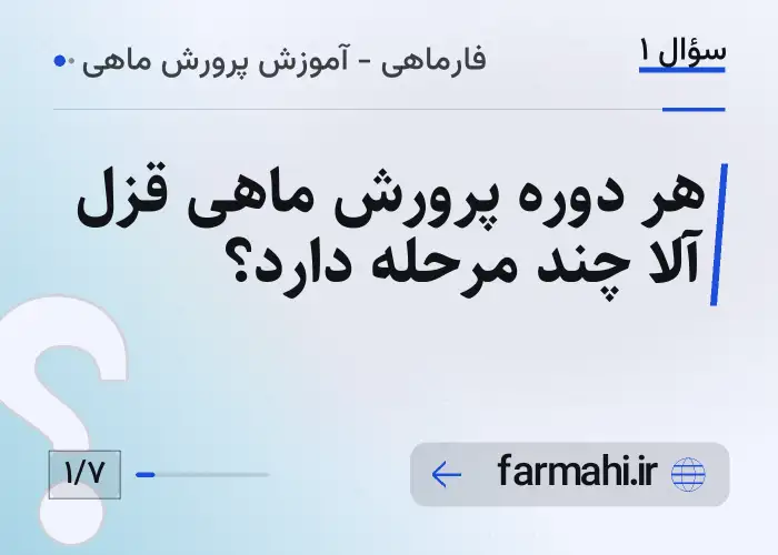 هر دوره پرورش ماهی قزل آلا چند مرحله دارد؟