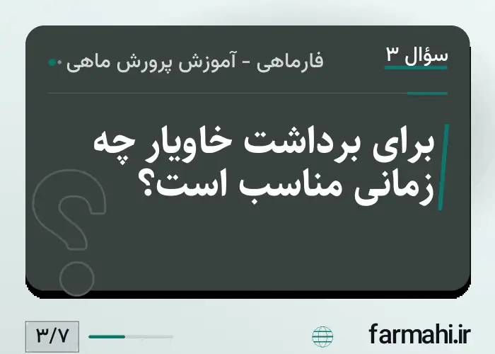 برای برداشت خاویار چه زمانی مناسب است؟