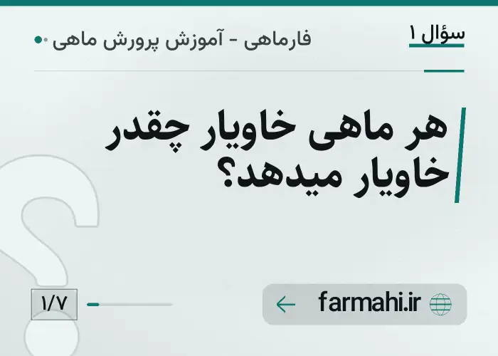 هر ماهی خاویار چقدر خاویار میدهد؟