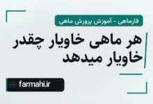 هر ماهی خاویار چقدر خاویار میدهد