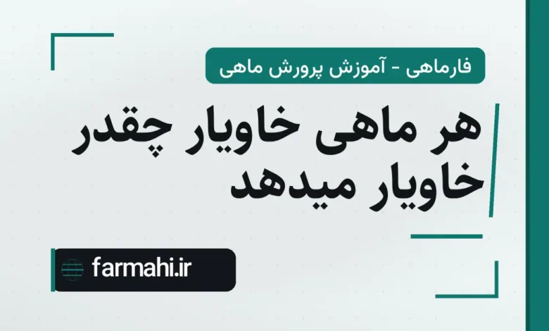 هر ماهی خاویار چقدر خاویار میدهد