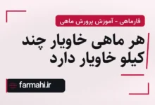 هر ماهی خاویار چند کیلو خاویار دارد