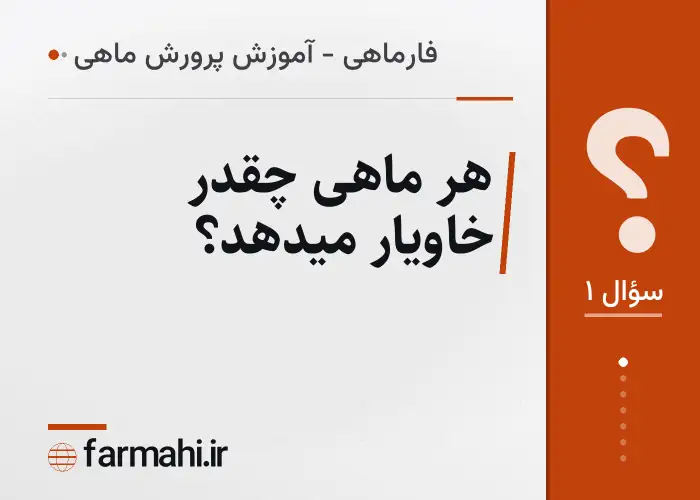 هر ماهی چقدر خاویار میدهد؟
