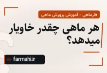 هر ماهی چقدر خاویار میدهد؟