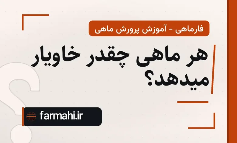 هر ماهی چقدر خاویار میدهد؟