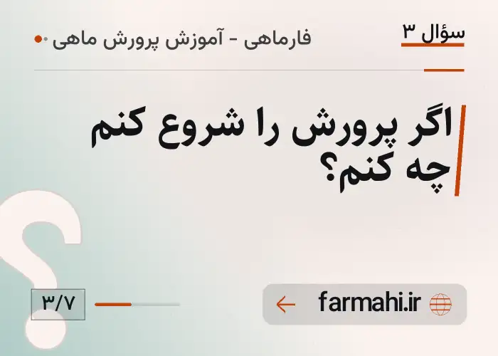 اگر پرورش را شروع کنم چه کنم؟