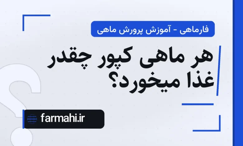 هر ماهی کپور چقدر غذا میخورد؟