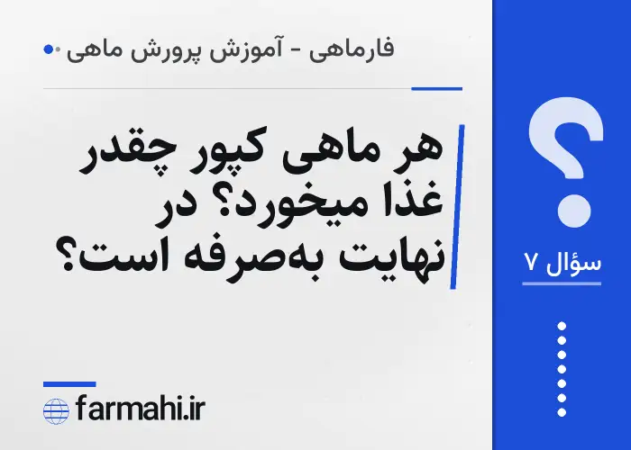 هر ماهی کپور چقدر غذا میخورد؟ در نهایت به‌صرفه است؟
