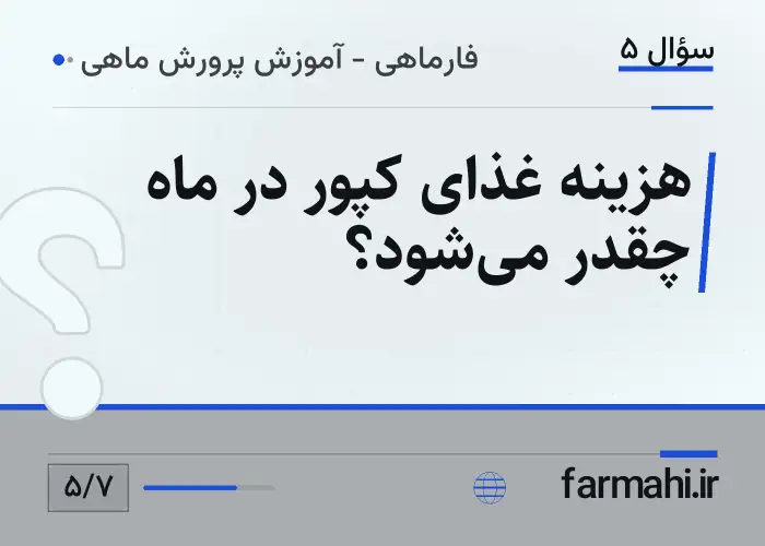 هزینه غذای کپور در ماه چقدر می‌شود؟