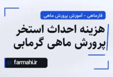 هزینه احداث استخر پرورش ماهی گرمابی