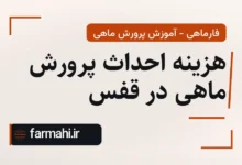 هزینه احداث پرورش ماهی در قفس
