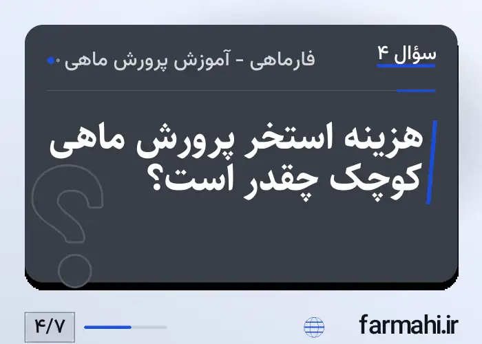 هزینه استخر پرورش ماهی کوچک چقدر است؟
