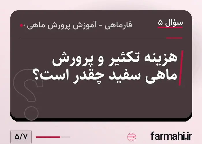 هزینه تکثیر و پرورش ماهی سفید چقدر است؟