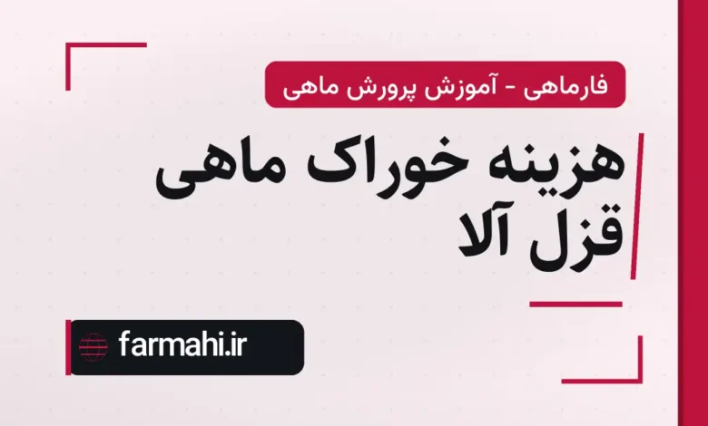 هزینه خوراک ماهی قزل آلا