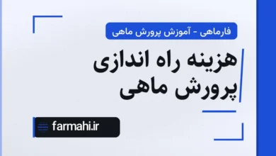 هزینه راه اندازی پرورش ماهی