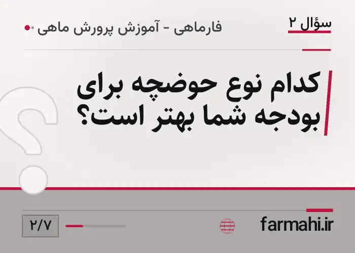 کدام نوع حوضچه برای بودجه شما بهتر است؟