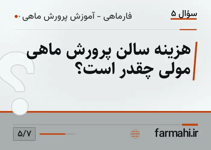 هزینه سالن پرورش ماهی مولی چقدر است؟