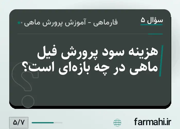 هزینه سود پرورش فیل ماهی در چه بازه‌ای است؟