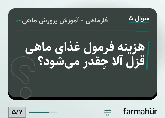 هزینه فرمول غذای ماهی قزل آلا چقدر می‌شود؟
