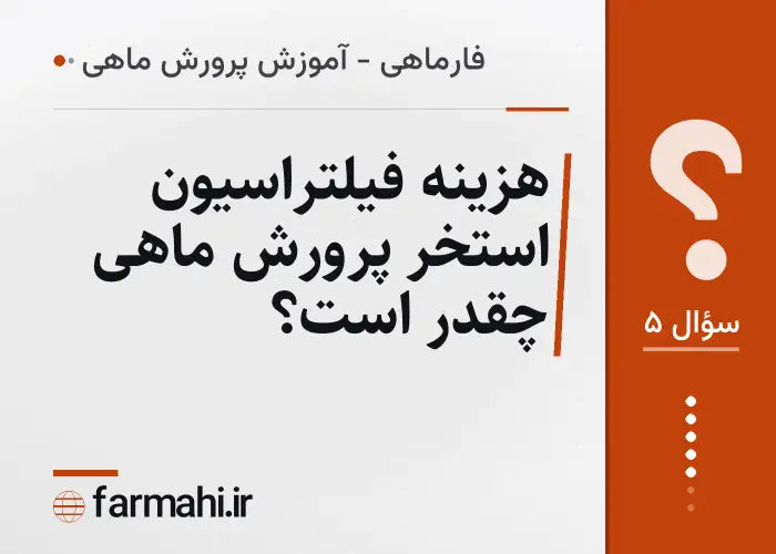هزینه فیلتراسیون استخر پرورش ماهی چقدر است؟