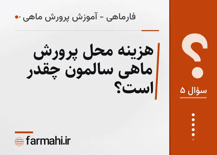 هزینه محل پرورش ماهی سالمون چقدر است؟