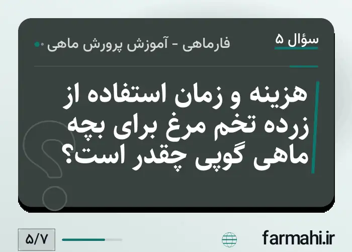 هزینه و زمان استفاده از زرده تخم مرغ برای بچه ماهی گوپی چقدر است؟