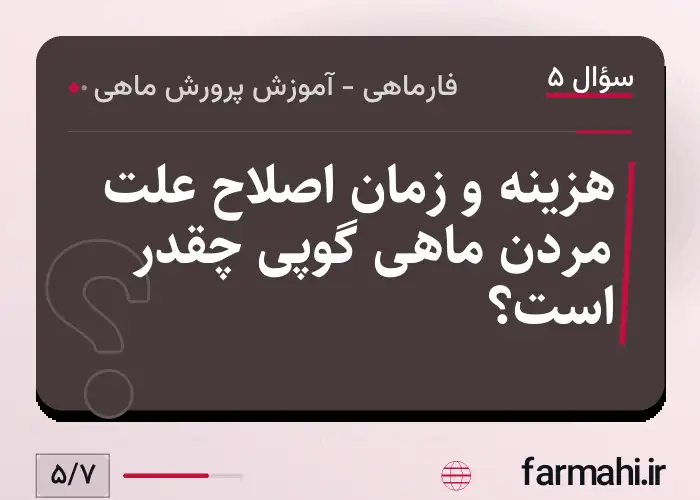 هزینه و زمان اصلاح علت مردن ماهی گوپی چقدر است؟
