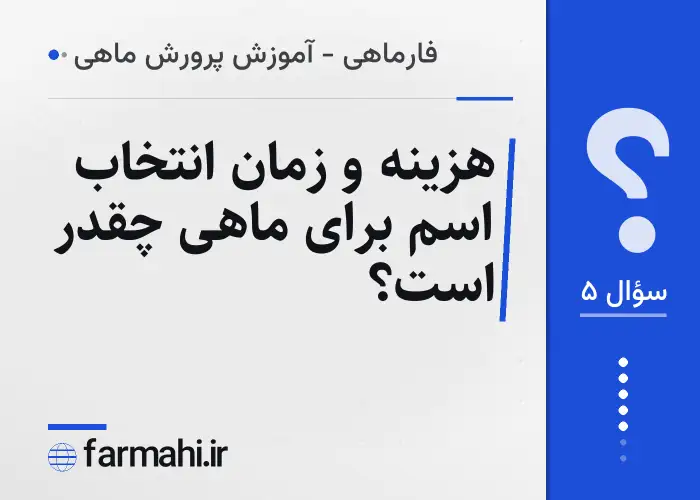هزینه و زمان انتخاب اسم برای ماهی چقدر است؟