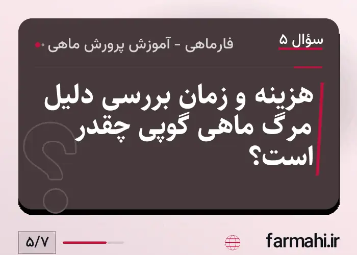 هزینه و زمان بررسی دلیل مرگ ماهی گوپی چقدر است؟