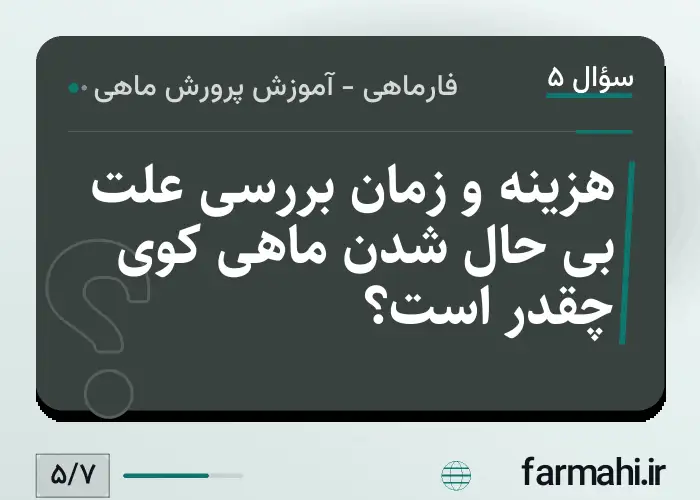 هزینه و زمان بررسی علت بی حال شدن ماهی کوی چقدر است؟
