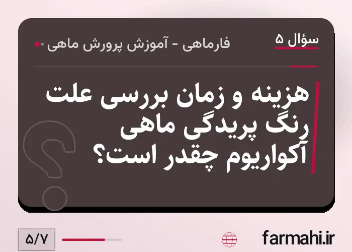 هزینه و زمان بررسی علت رنگ پریدگی ماهی آکواریوم چقدر است؟