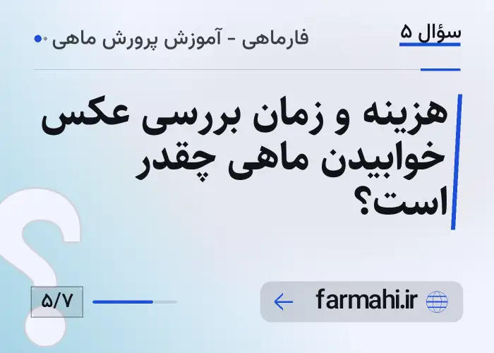 هزینه و زمان بررسی عکس خوابیدن ماهی چقدر است؟