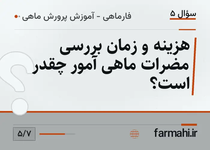 هزینه و زمان بررسی مضرات ماهی آمور چقدر است؟